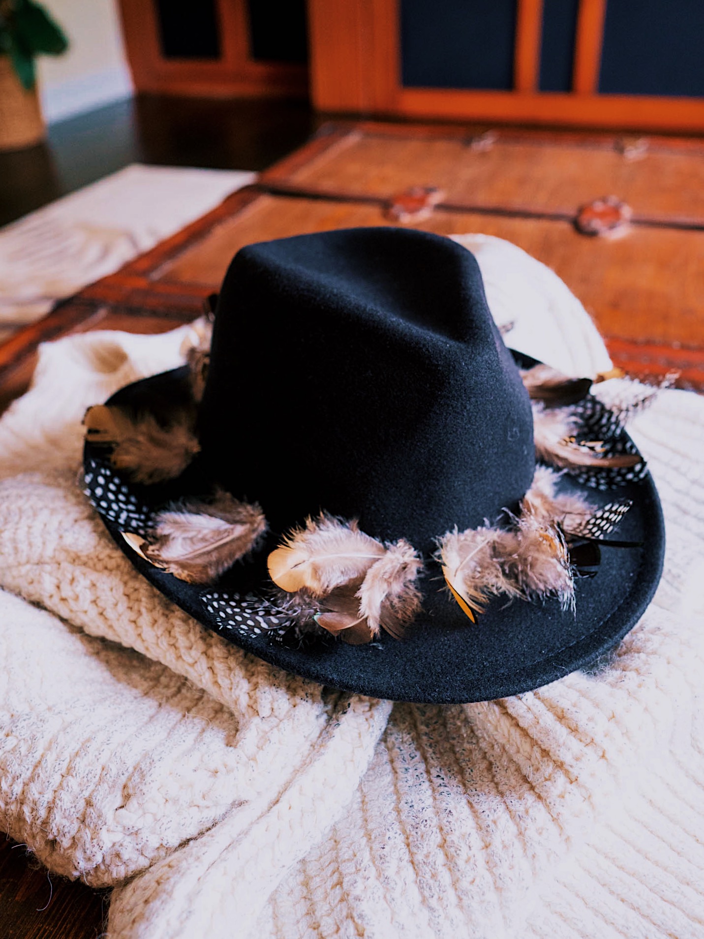 Western Hat Feather Hat Band - Vistoso
